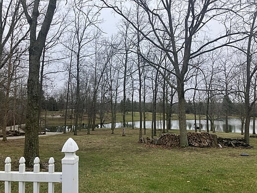 Brick House - Back Yard