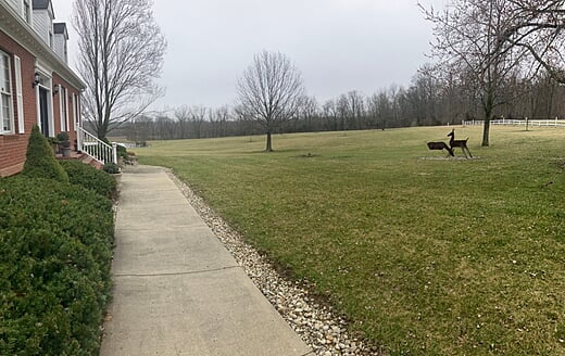Brick House - Front Yard
